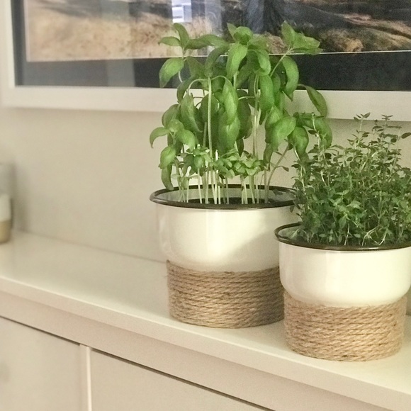 Flower Pot - Picture 6 of 6